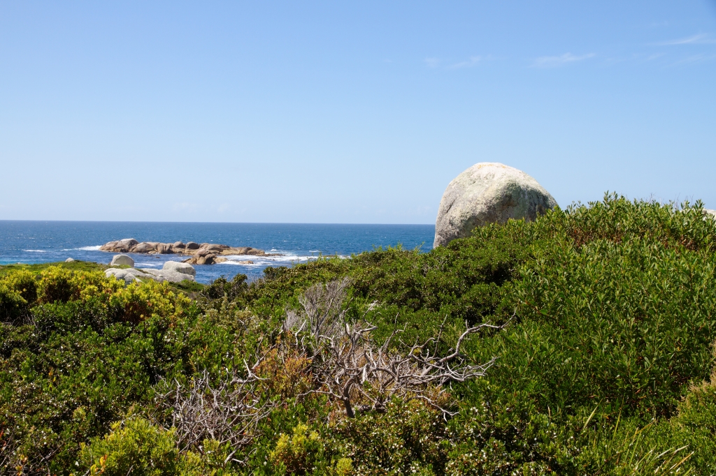 05 - Bay of Fire (3).jpg